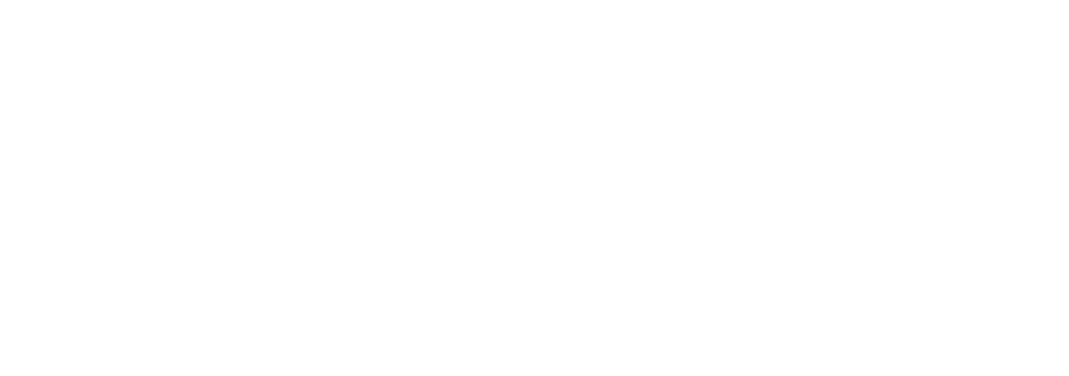 Nubicus Logo